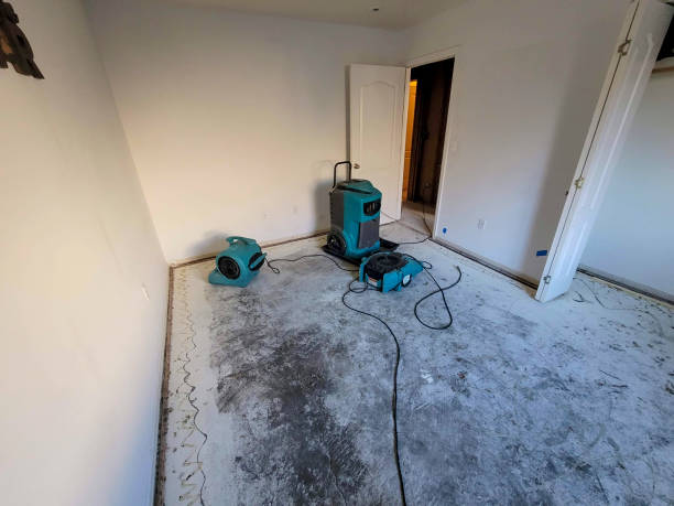 Best Water damage restoration services  in Lucerne, CA