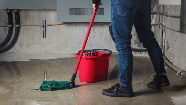 Best Water damage restoration near me  in Lucerne, CA