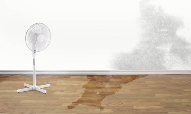 Water damage restoration mold remediation in Lucerne, CA