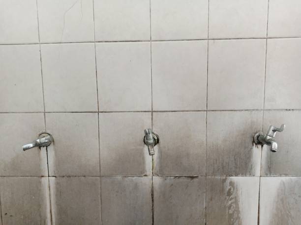 Best Water damage contractors near me  in Lucerne, CA