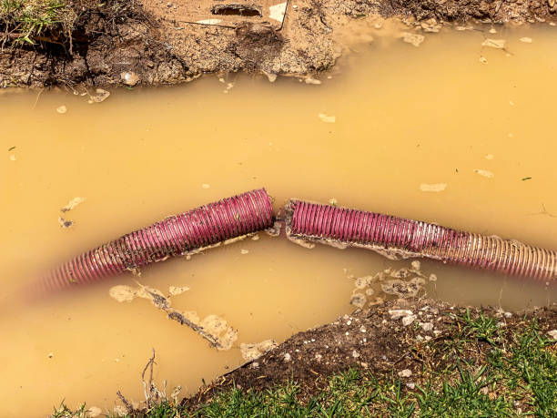 Best Water damage cleanup near me  in Lucerne, CA