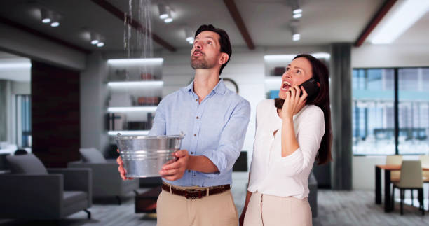 Best Water damage restoration company  in Lucerne, CA